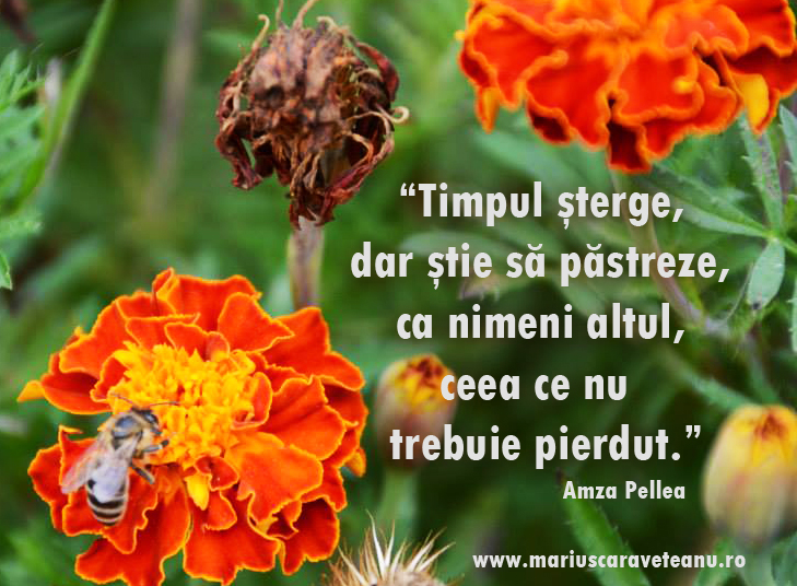 timpul sterge