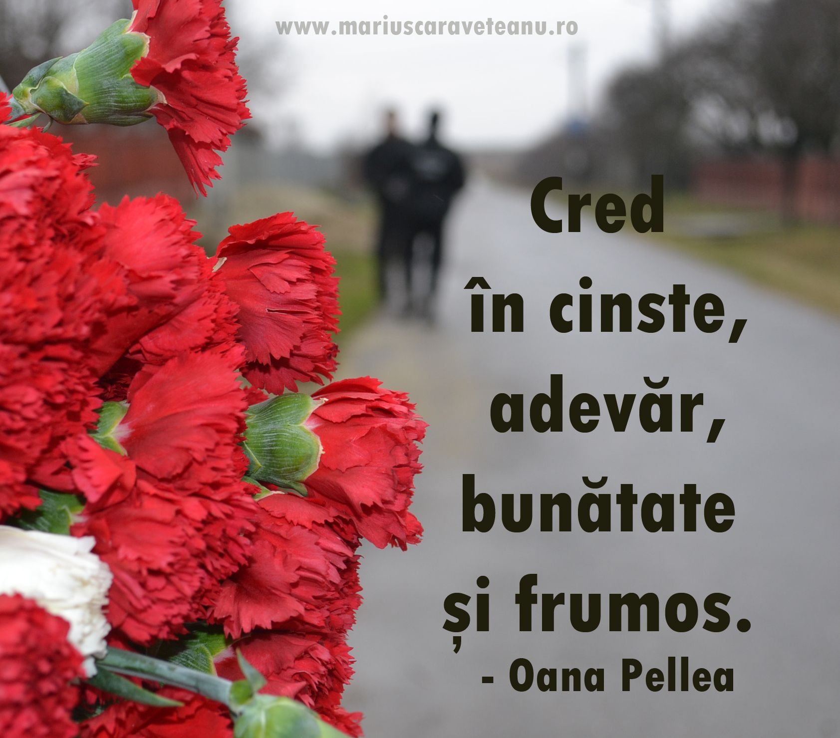 Cred in cinste, adevar, bunatate si frumos.