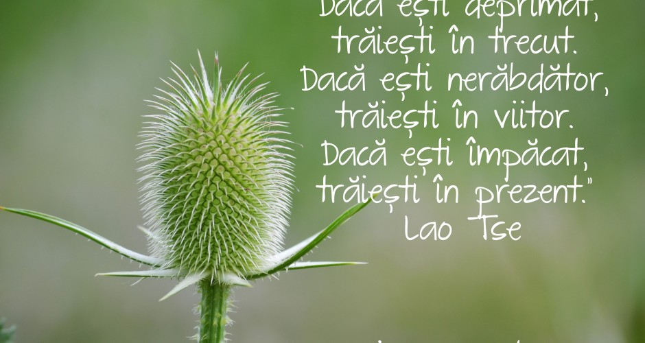 daca esti