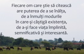 fiecare om