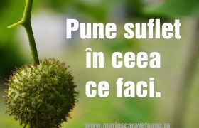 pune  suflet