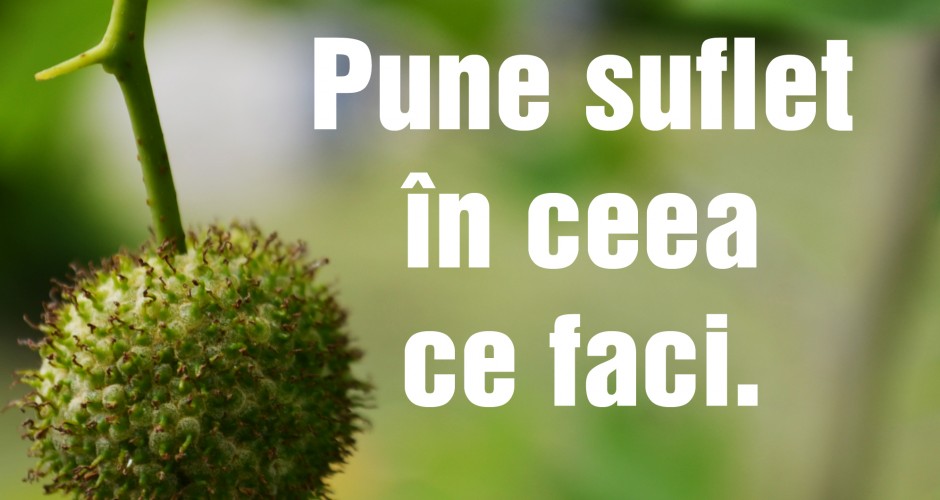 pune  suflet