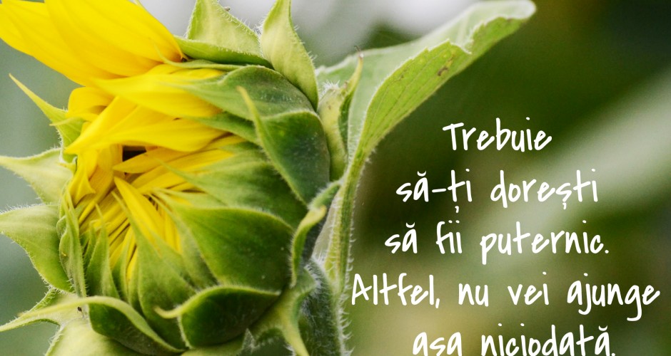 trebuie sa ti doresti