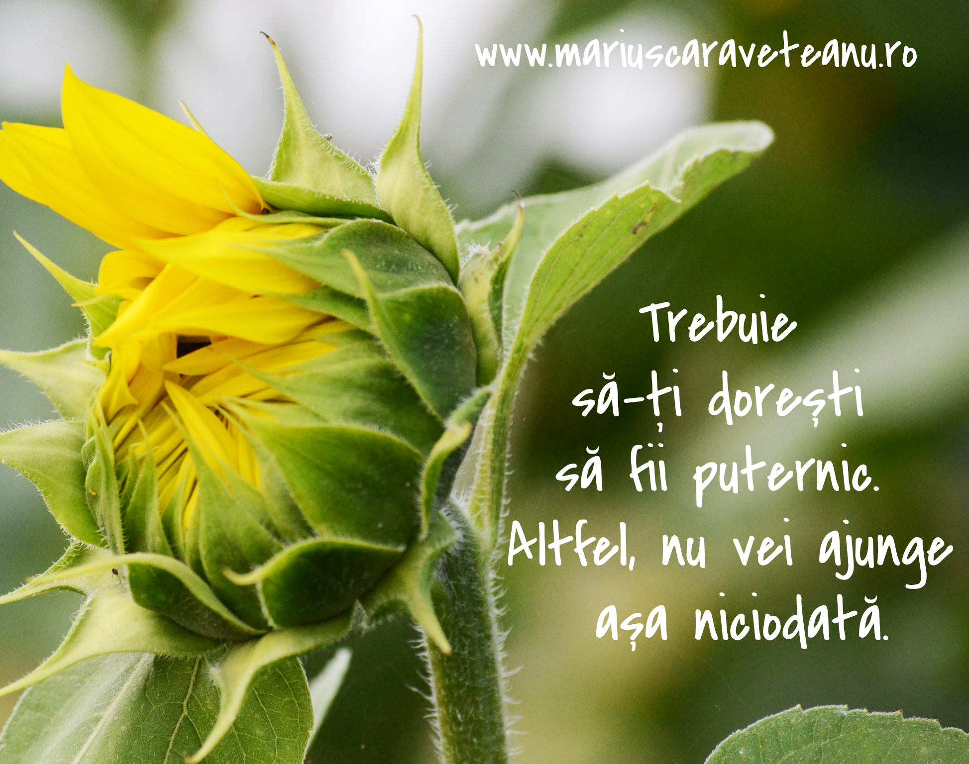 trebuie sa ti doresti