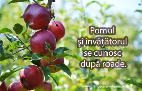 Pomul şi învăţătorul se cunosc după roade.