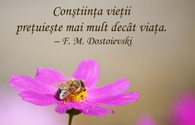 constiinta