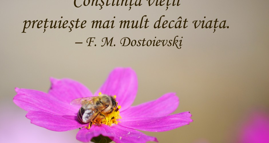 constiinta