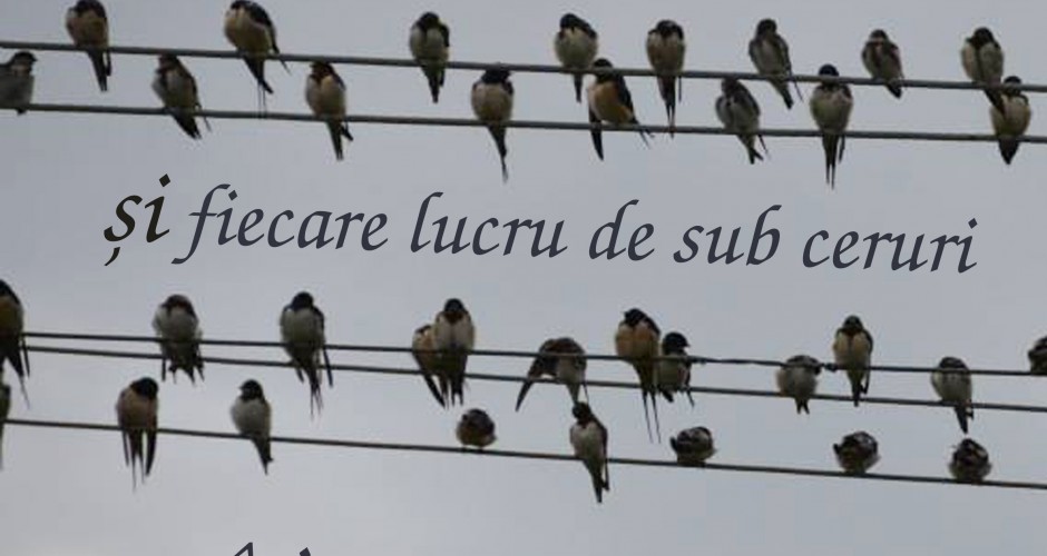 toate isi are vremea lor