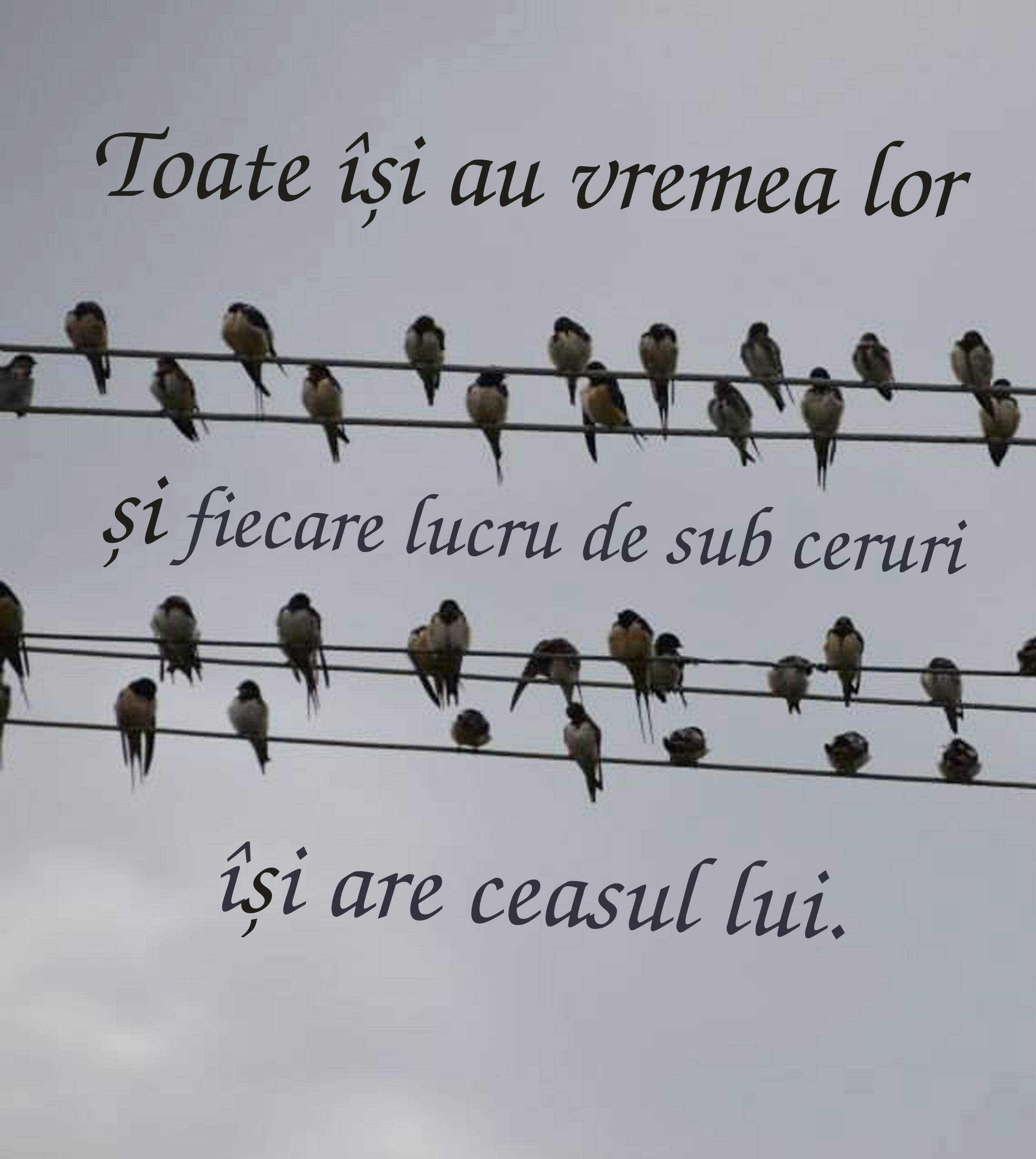 toate isi are vremea lor