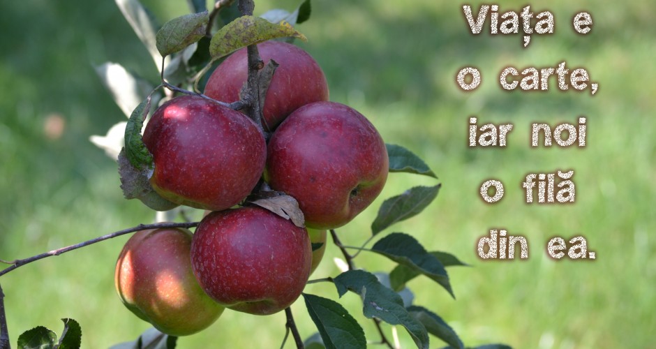 viata este o carte...